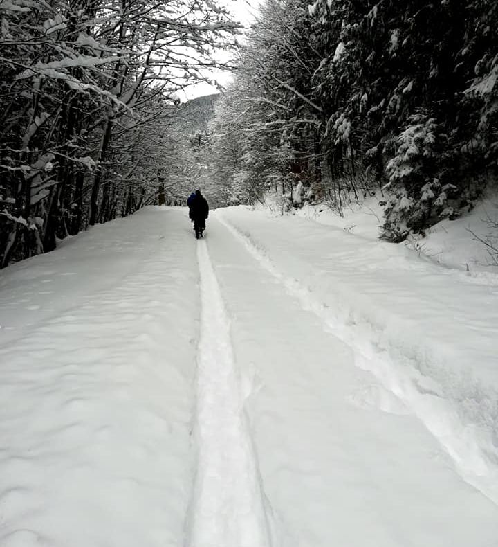 FOTO: Iarnă de poveste în Parcul Național Retezat