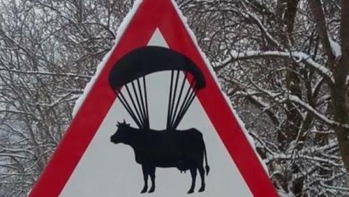 „Vacă paraşutistă”, indicator rutier de tot râsul, întâlnit pe un drum din judeţul Hunedoara