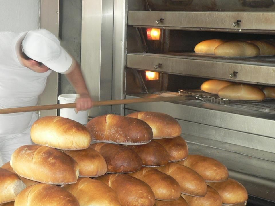 AJOFM Hunedoara organizează, în februarie, șase programe de formare profesională