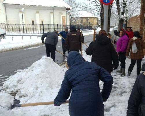 Asistaţii social pot lucra, ca zilieri, la firmele care au nevoie de forță de muncă sezonieră