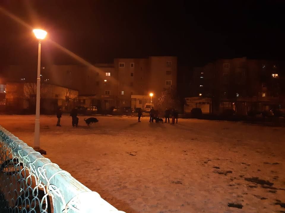 Parc special amenajat pentru patrupede, la Hunedoara