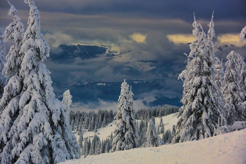 FOTO+VIDEO: Parângul acoperit de o mantie albă de zăpadă