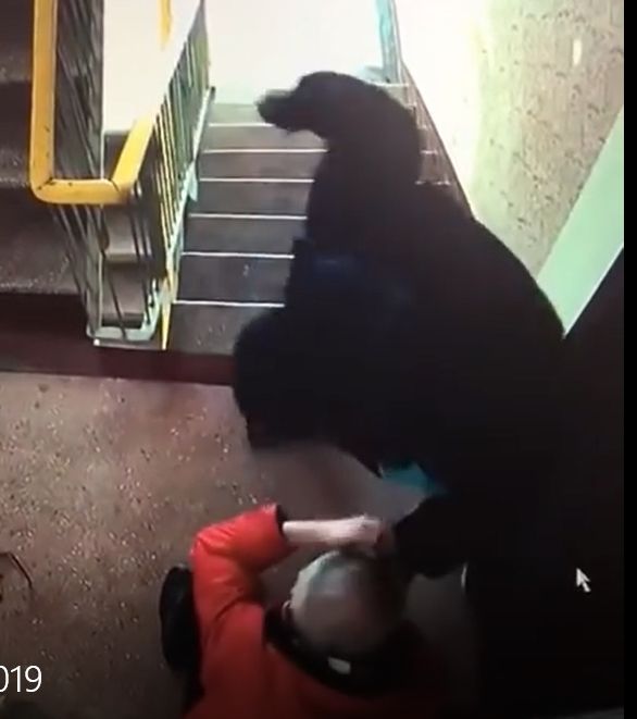 Reținut de polițiști la jumătate de an de la comiterea unei tâlhării