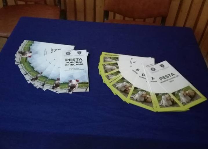 Crescătorii de animale din judeţ, informaţi despre pesta porcină. Campanie DAJ Hunedoara