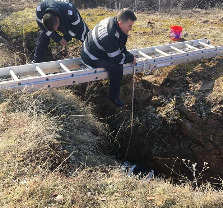 FOTO| Căţel salvat de la moarte de pompierii hunedoreni. Căzut într-o groapă adâncă de peste patru metri