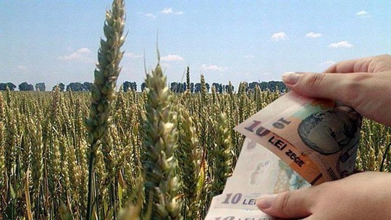 Primarii şi fermierii hunedoreni, convocaţi la o întâlnire pe tema cererilor unice preluate de APIA