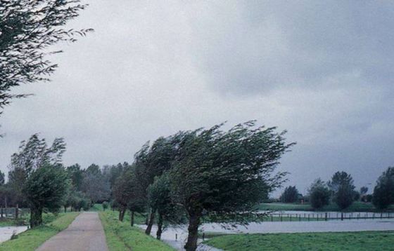 Cod galben de vânt puternic până luni după-amiază. Este vizat şi judeţul Hunedoara