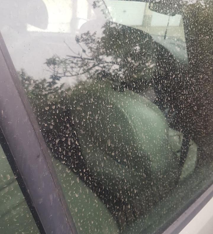 Praf saharian deasupra României. Şoferi, nu vă spălaţi maşinile!