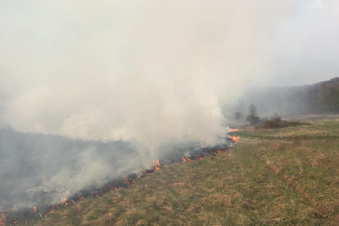 FOTO-VIDEO| Incendiu de vegetație uscată care amenința pădurea și gospodăriile din Cozia