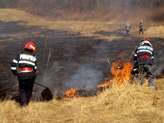 Peste o sută de hectare de litieră de pădure, mistuite de flăcări