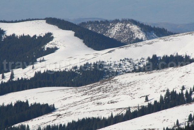 Un nou pas pentru realizarea domeniului turistic Șureanu