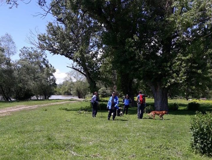 Parcă a înghițit-o pământul! Bătrânica din Geoagiu, dispărută de trei săptămâni, căutată cu câinii de salvare