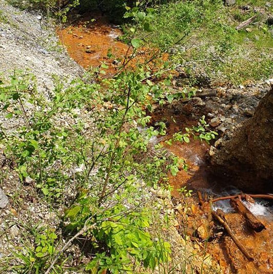 VIDEO| Curge apă sângerie din „măruntaiele” pământului, pe valea Leșnicului