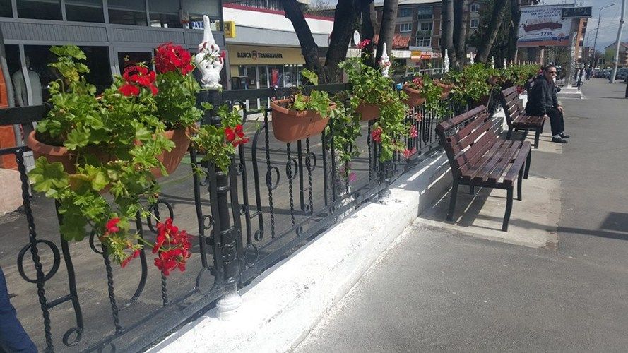 Sute de flori vor înfrumuseța municipiul Lupeni