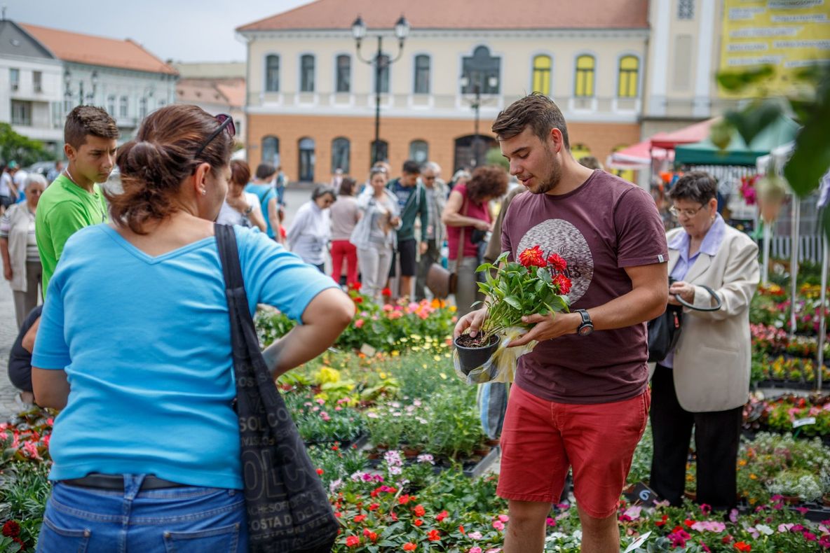 O societate din subordinea Consiliului Local Petrila, contracte cu Primăria Petrila pentru înfrumusețarea localității