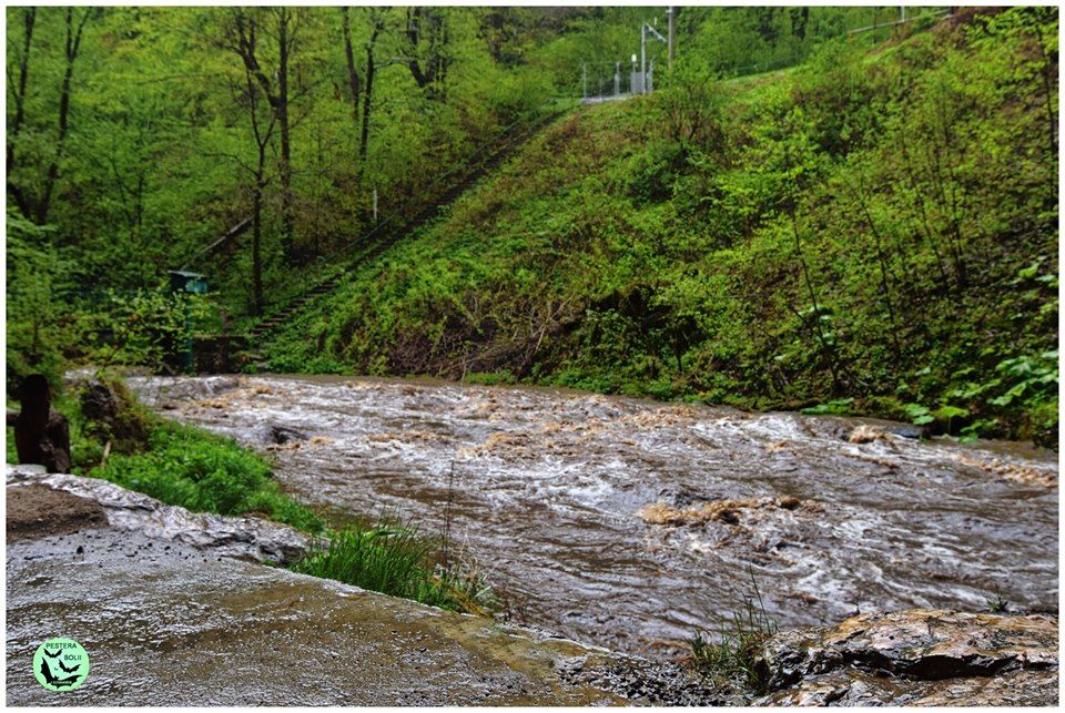 FOTO: Viiturile afectează și Valea Jiului