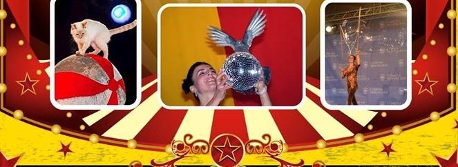 Show cu pisici şi porumbei, la Deva. Spectacol pentru cei mici