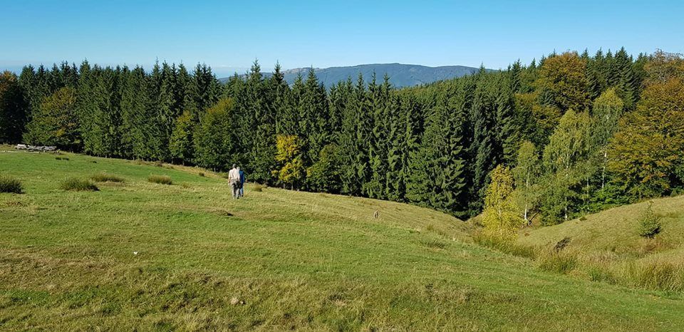 Taxa pentru turiştii care vizitează Parcul Natural Grădiştea Muncelului -Cioclovina se poate plăti şi prin SMS