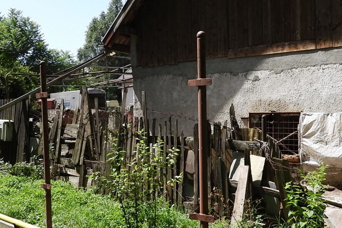 Problema grajdului dintre blocuri prinde “miros” penal. Deveanul care crește cai în vecinătatea ștrandului, reclamat la Parchet