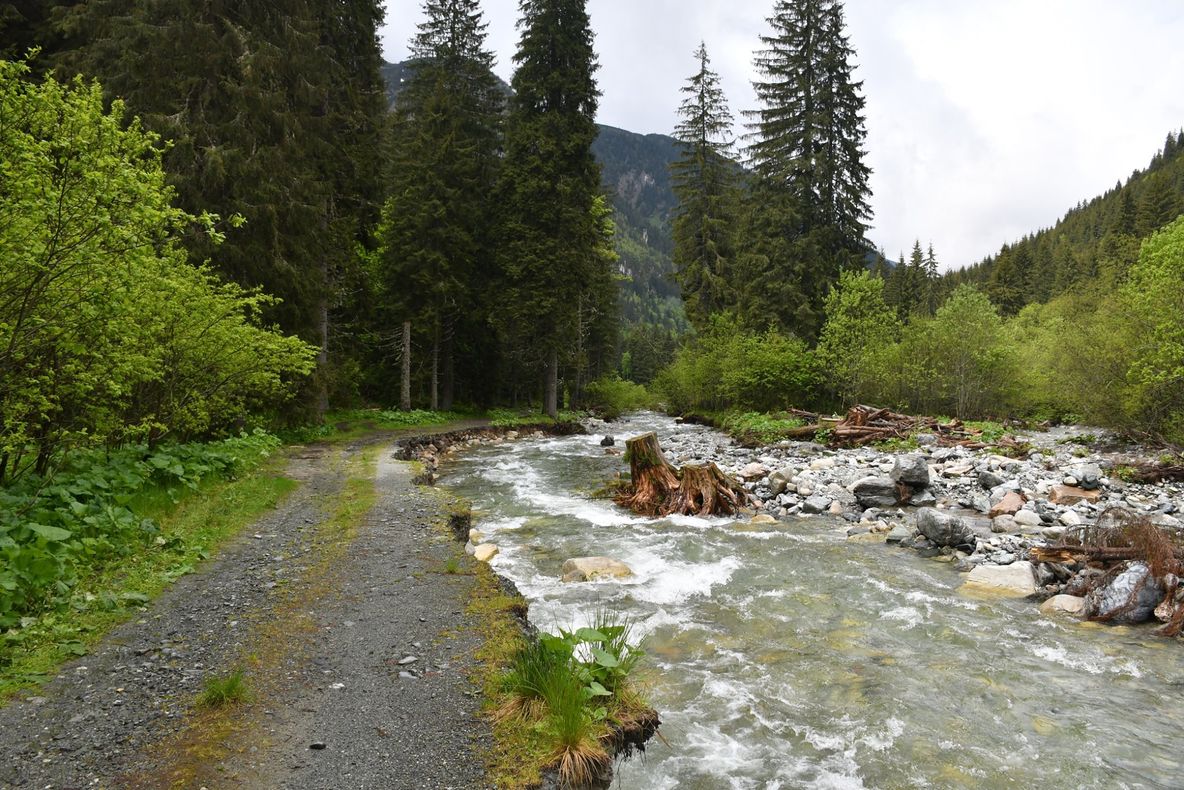 Drumul spre Poiana Pelegii, din Retezat, în reparații. Pe ce tronsoane se lucrează