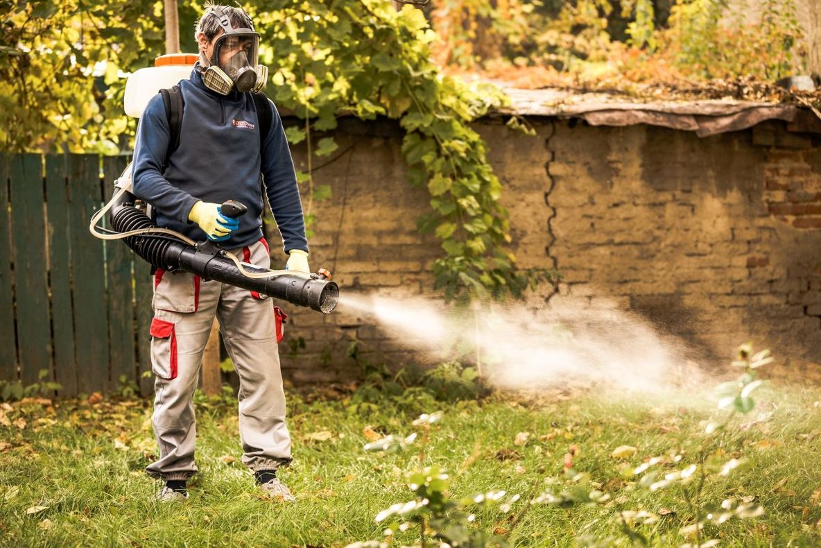 Campanie de dezinsecţie terestră şi avio la Deva