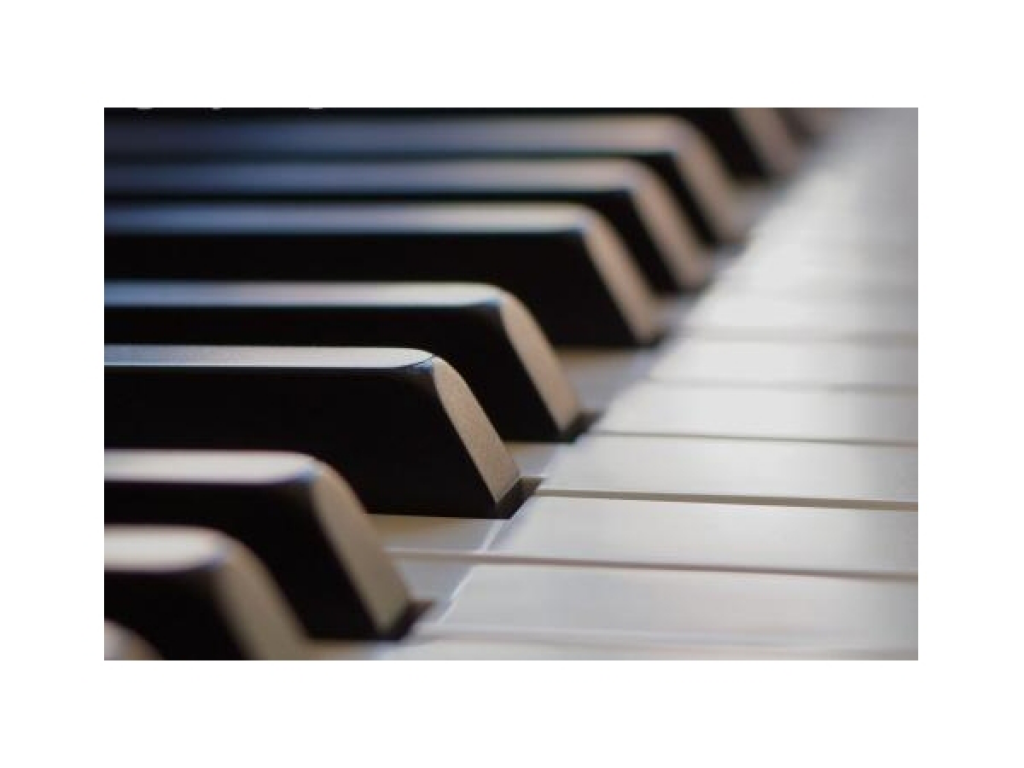 Doi mari artiști concertează la Petroșani