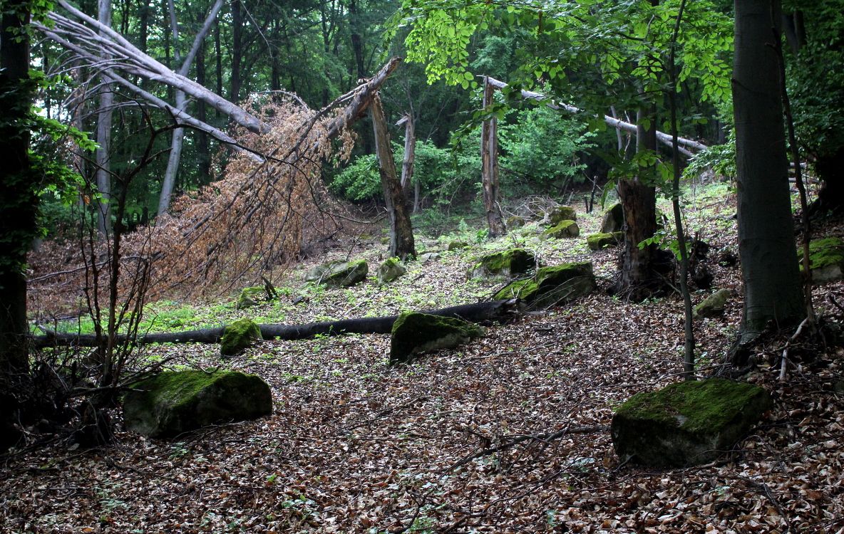 Monument istoric, ignorat de lege