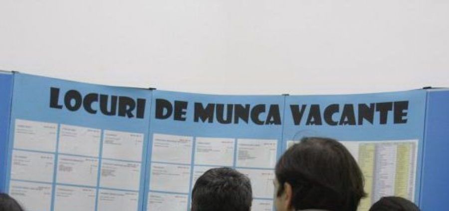 5.701 de persoane şi-au găsit un loc de muncă, cu sprijinul AJOFM Hunedoara