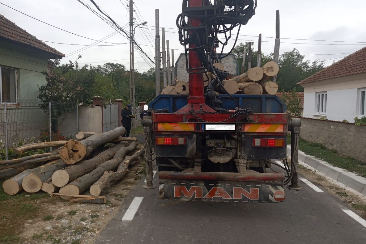 Șofer de camion, încărcat cu lemne, oprit de jandarmi la Ohaba de sub Piatră. Avea nereguli în acte