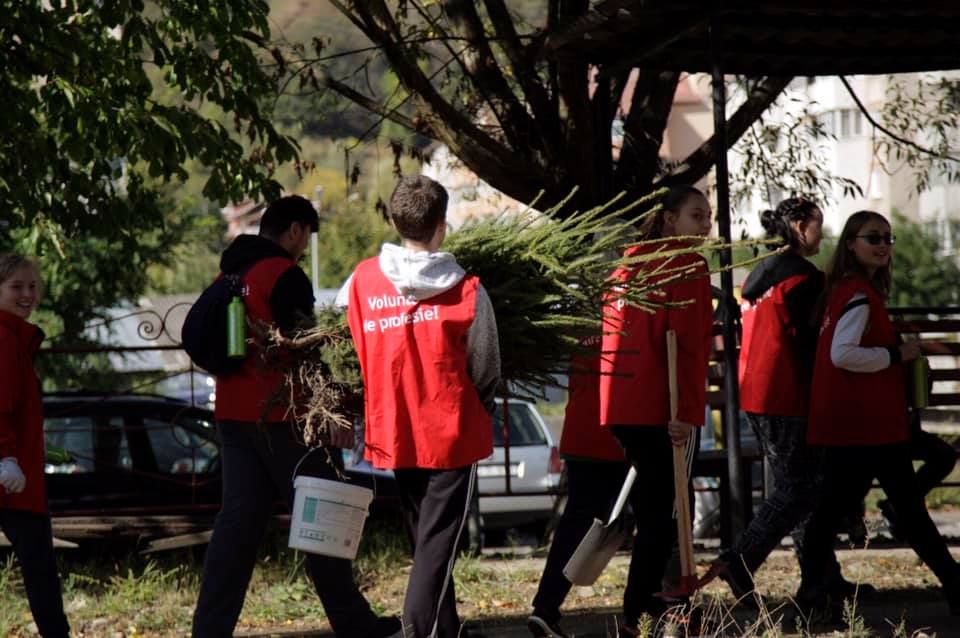 Valea Jiului, reîmpădurită de activiștii de mediu