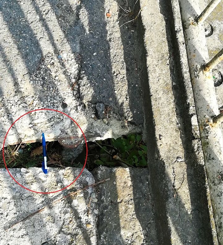 FOTO: Pro Infrastructura cere deschiderea lotului 3 al autostrăzii