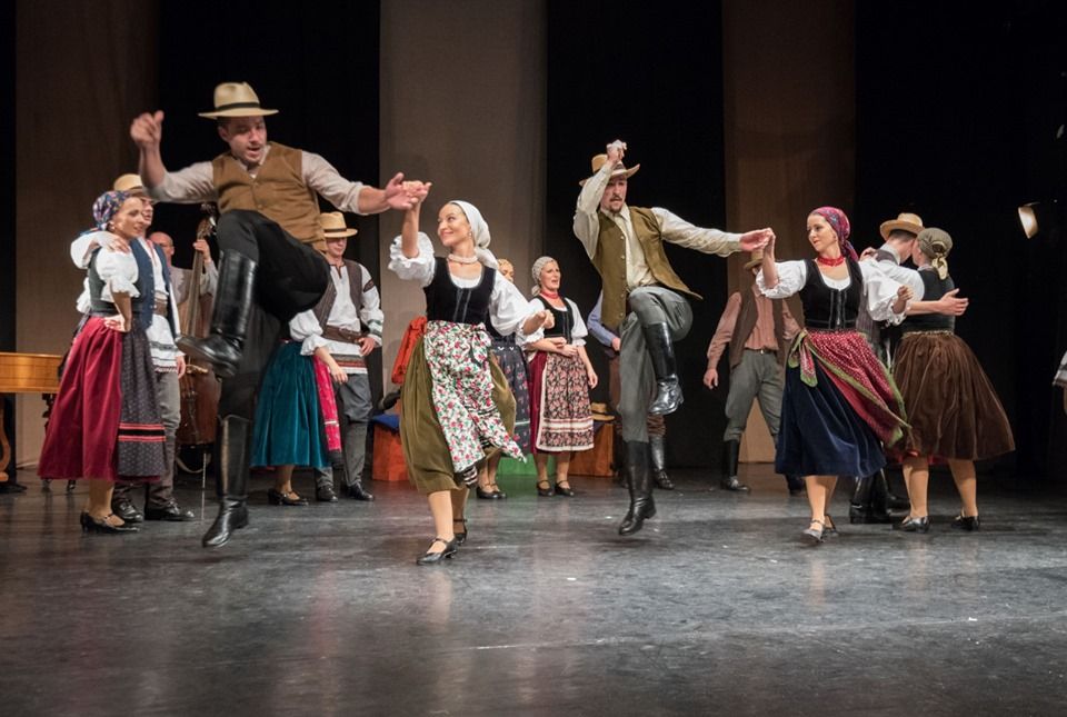 În Ungaria ar putea fi organizate Zilele Culturii Hunedorene