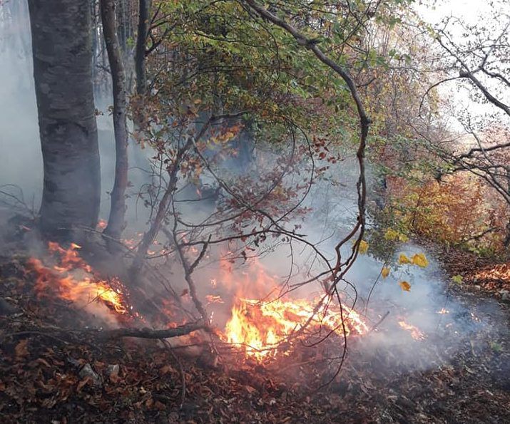A treia zi de luptă cu cele două incendii de pădure, izbucnite în nordul și sudului județului