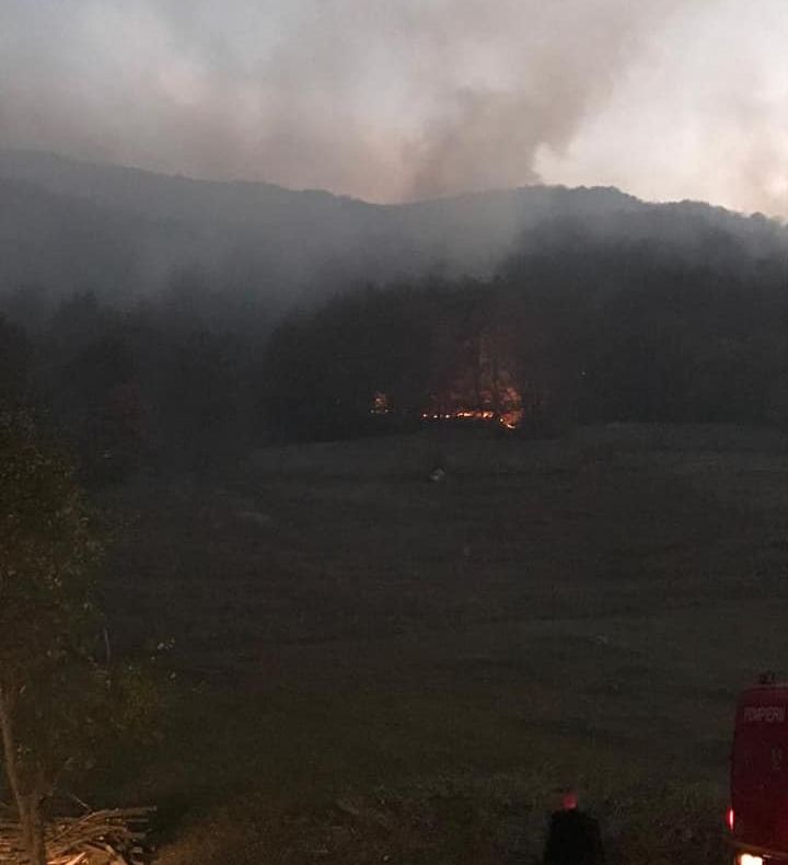 Cele două incendii de pădure, din nordul și sudul județului, sunt încă active