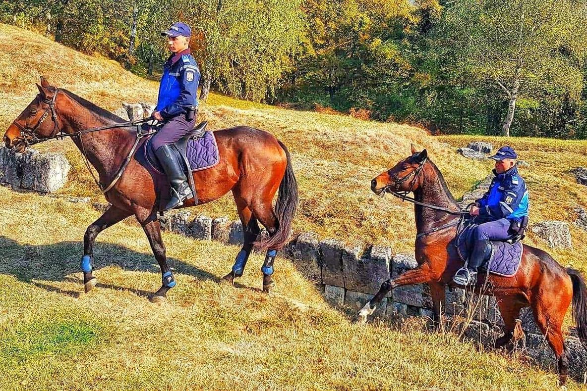 FOTO| Bia și Lucila, în misiune la Sarmizegetusa Regia. Doi cai, noii camarazi ai jandarmilor hunedoreni