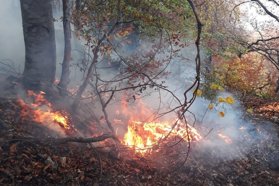 Avion pentru stingerea incendiilor de vegetație