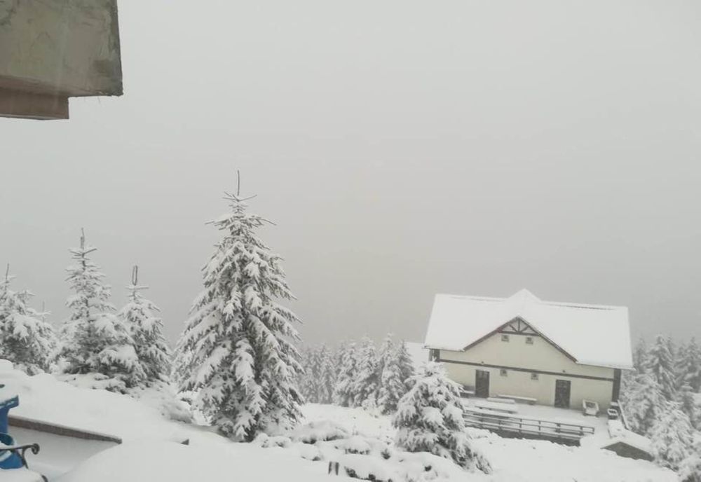 Ninge în zonele de munte din sudul județului Hunedoara