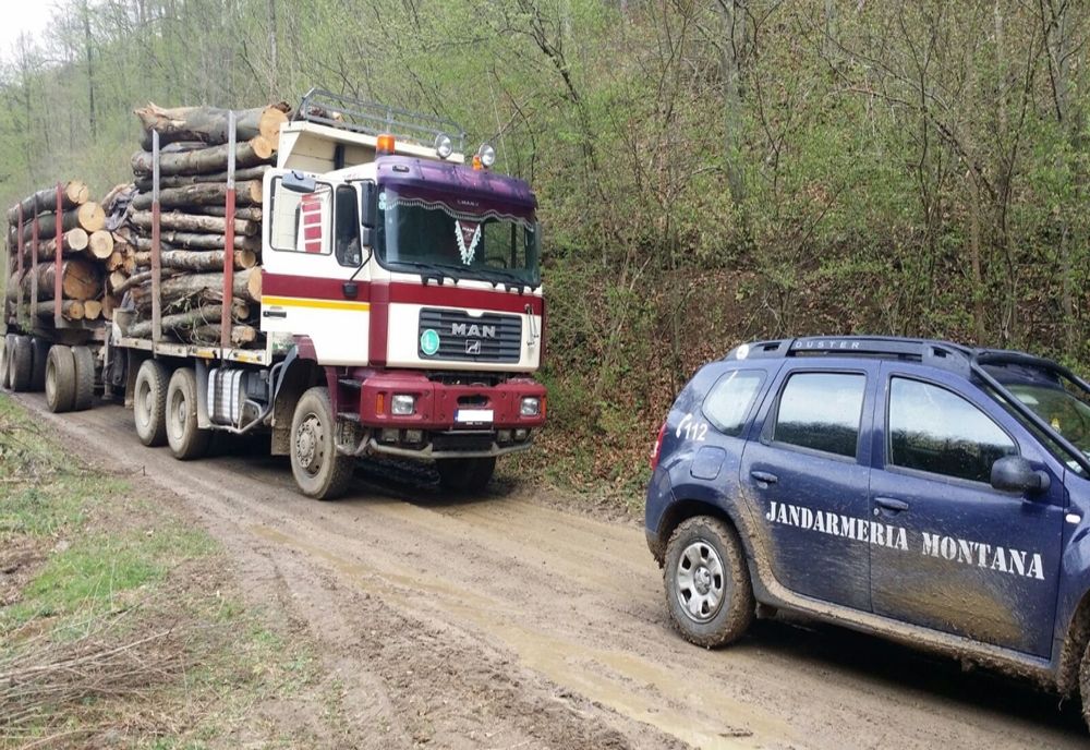 Jandarmii hunedoreni au făcut bilanțul acțiunilor organizate în păduri, în acest an. Câte infracțiuni silvice s-au constatat