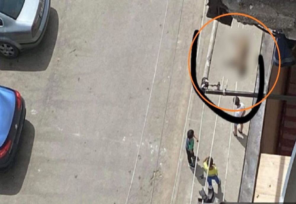 Caz șocant, în jud. Hunedoara. Doi copii au aruncat un câine de pe bloc