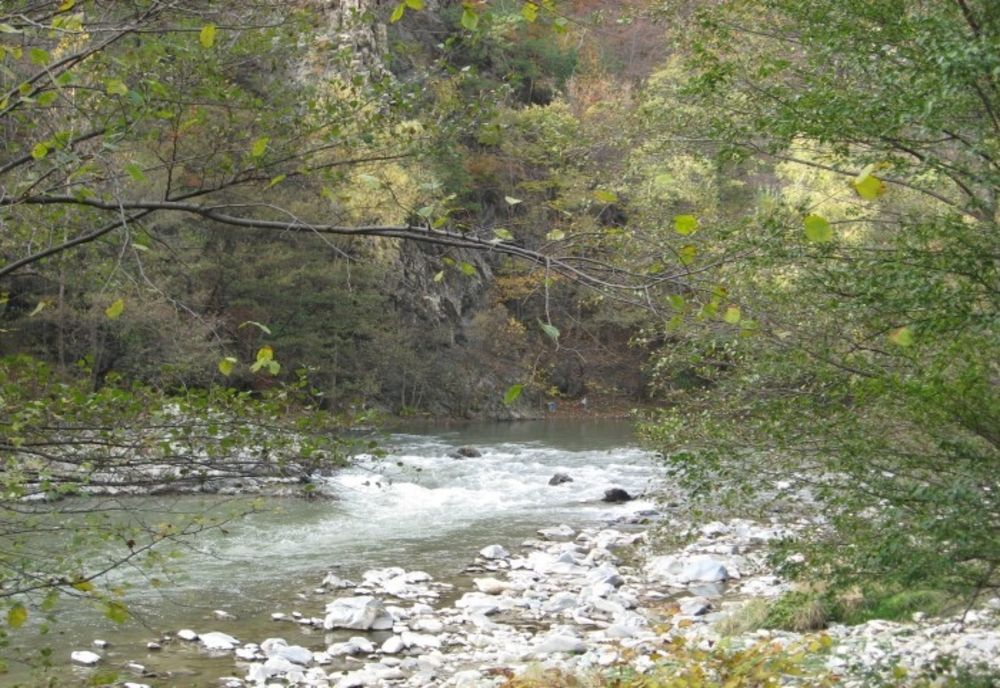 Atenție la vipere și animale sălbatice. Pe anumite trasee turistice vă puteți întâlni cu ele