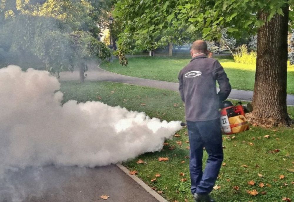 Acțiune amplă de deparazitare, la Hunedoara