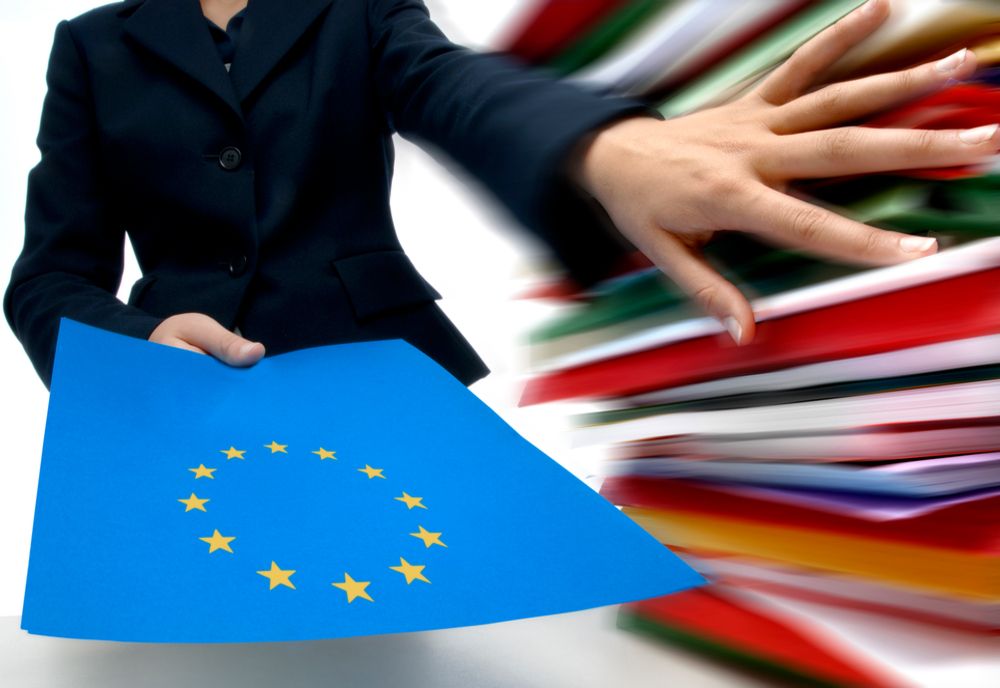 Serviciu special pentru atragerea de fonduri europene