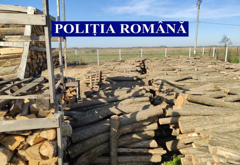 Prins cu leme furate în remorcă