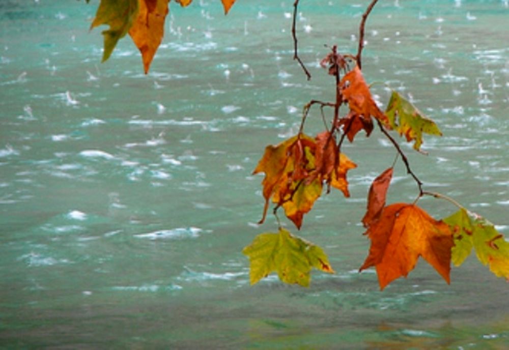 Vreme răcoroasă și ploioasă în vestul țării