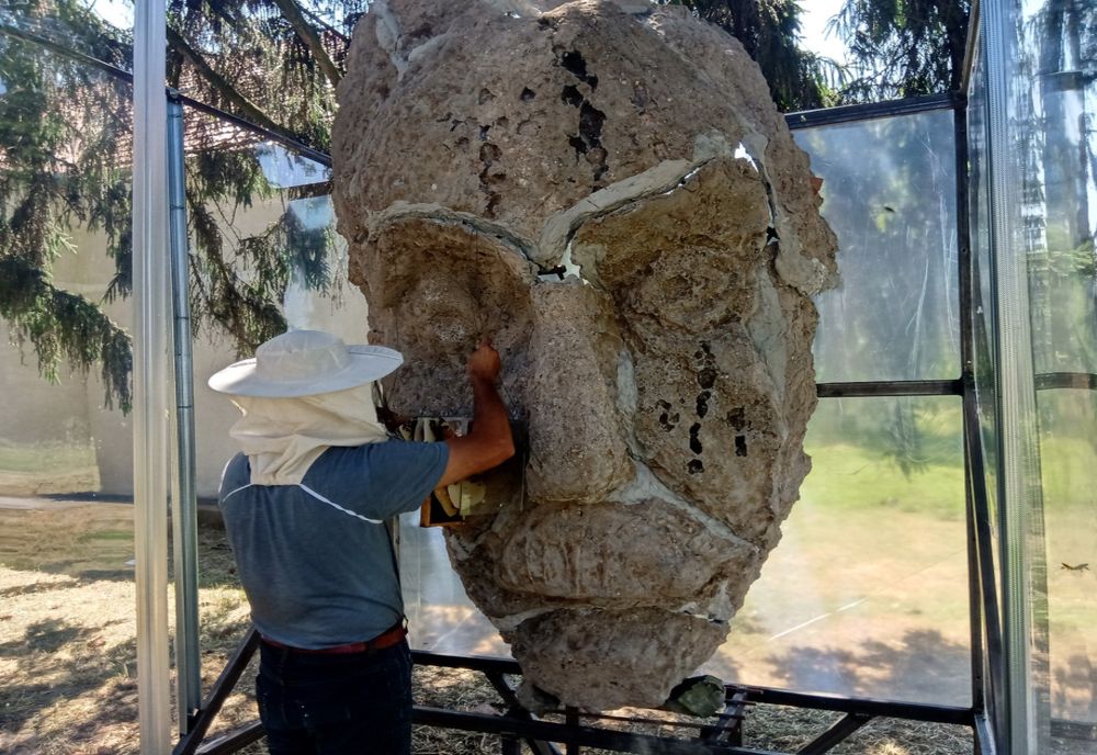 Albinele - noii super eroi ai Geoparcului Internaţional Ţara Haţegului