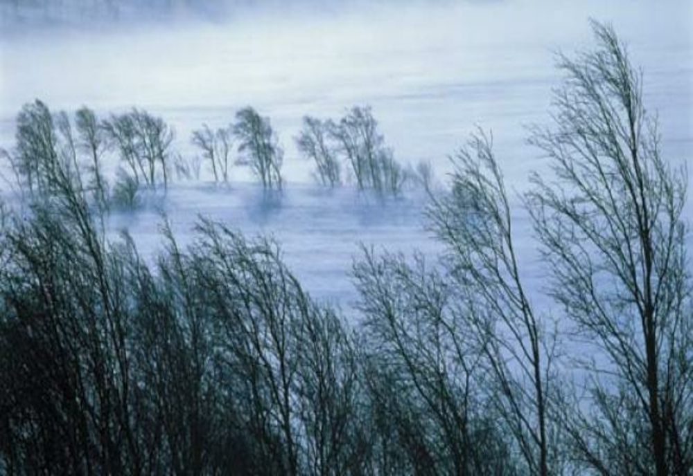 Cod galben de vânt în zona înaltă din vestul țării