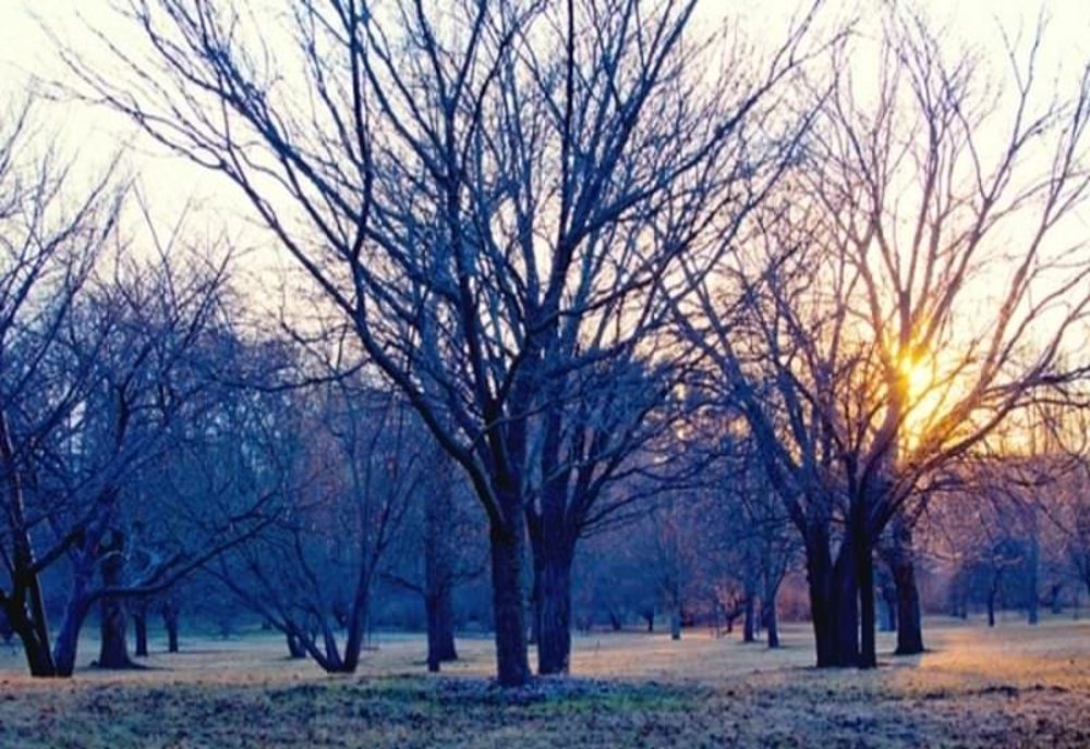 Vremea la sfârșit de săptămână în vestul țării