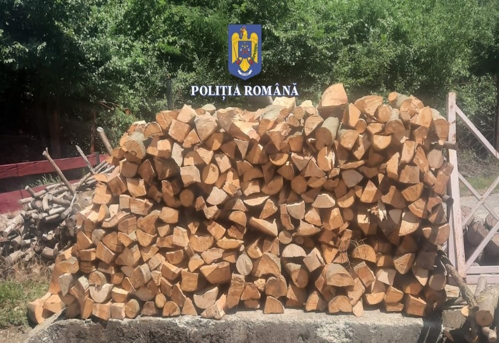 Controale la transportatorii și prelucrătorii de lemne