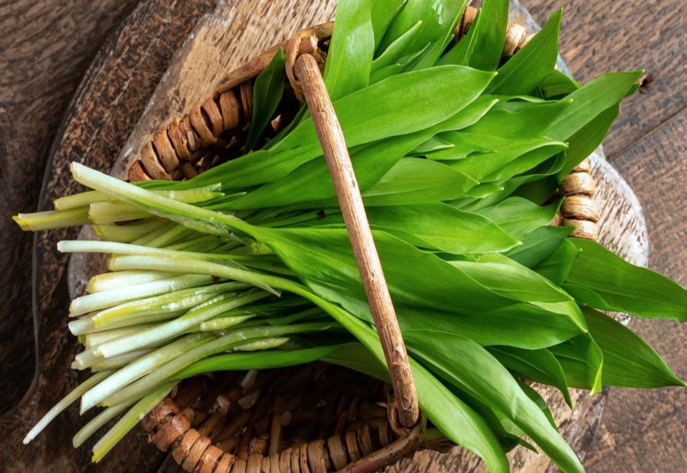 Cel mai puternic antibiotic natural: alimentul care crește imunitatea și luptă cu virușii