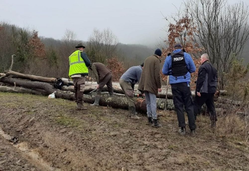 Copaci tăiați și furați: făptașii, prinși de polițiști și de Garda Forestieră